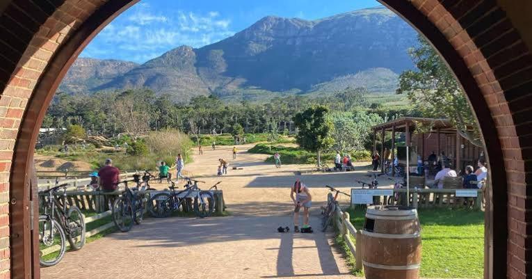 Family In Kirstenhof- Solar Heated Pool & Inverter Cape Town